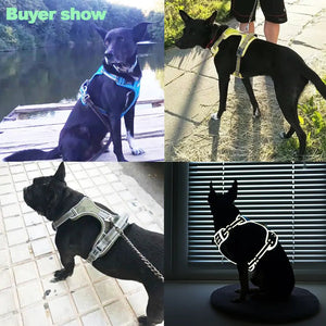 Luxe Crystal Dog Harness - Luxe Crystal