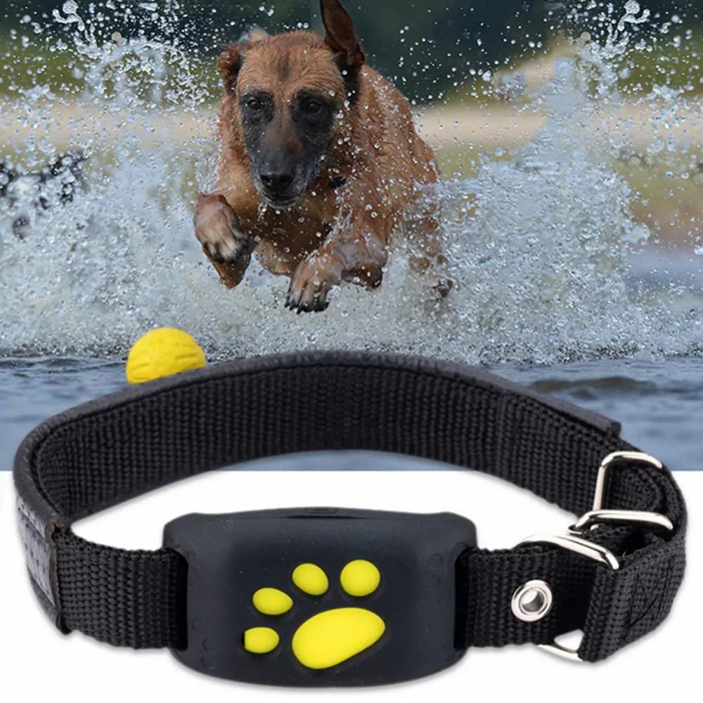 Pet GPS Tracker Collar - Luxe Crystal