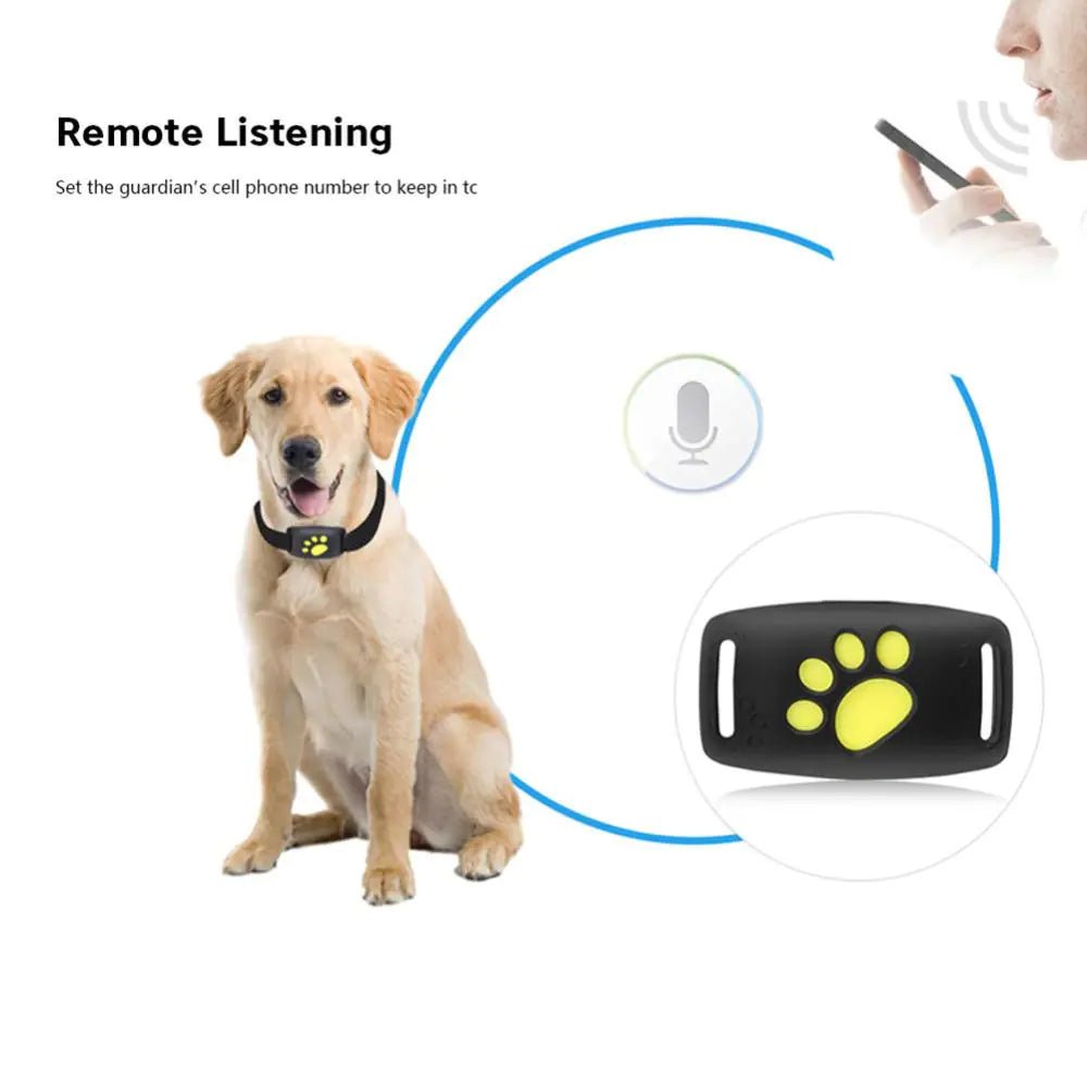 Pet GPS Tracker Collar - Luxe Crystal