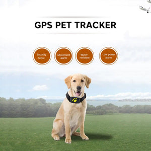 Pet GPS Tracker Collar - Luxe Crystal