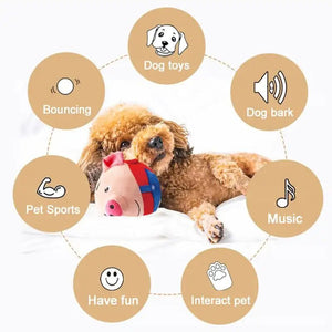 PetPalz: Interactive Talking Ball For Pets - Luxe Crystal